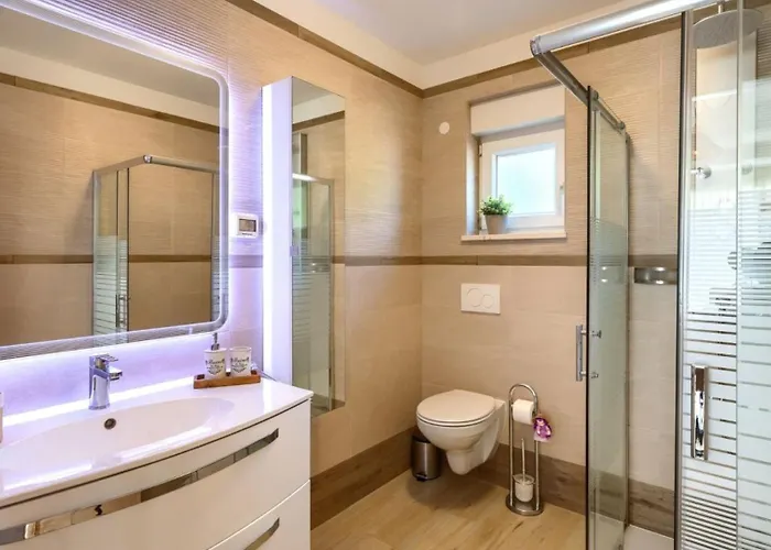 Alte Muhle With Pool And Jacuzzi In Novigrad Villa *