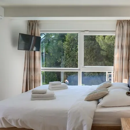 Alte Muhle With Pool And Jacuzzi In Novigrad Villa *