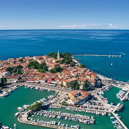 Alte Muhle With Pool And Jacuzzi In Novigrad 别墅