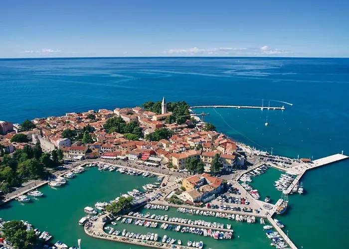 Alte Muhle With Pool And Jacuzzi In Novigrad 빌라